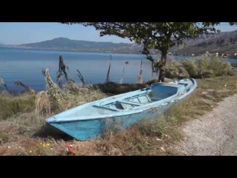 OI AΡΑΧΝΕΣ ΤΟΥ ΑΙΤΩΛΙΚΟΥ, ένα περίεργο φαινόμενο