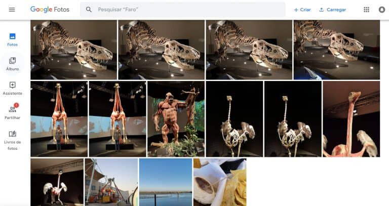 Google Fotos: é melhor escolher Alta Qualidade ou modo Original?