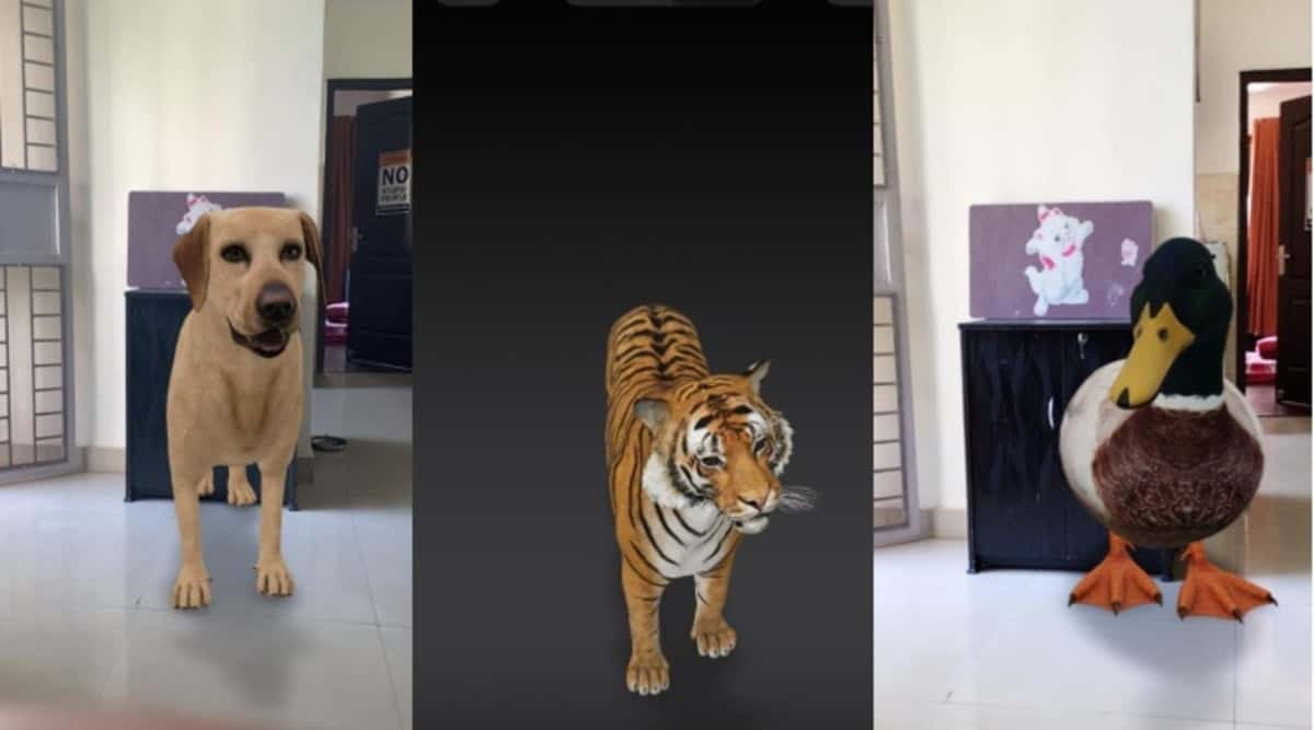 brincando com o tigre em 3D com minha Gatinh@ mesmo q ela ñ ta vendo e