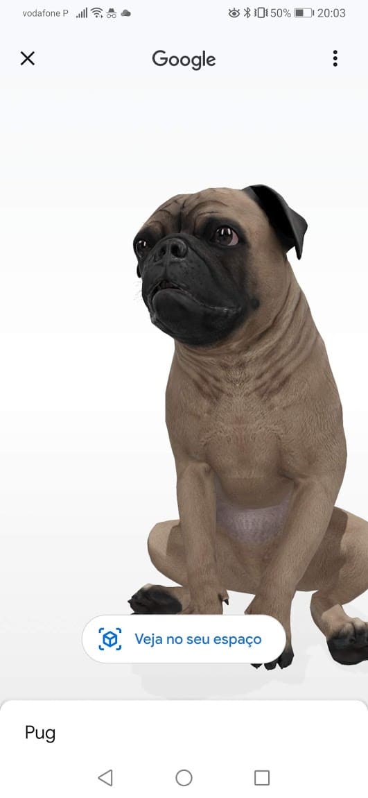 Como ver o Coelhinho da Páscoa e vários outros animais em 3D no Google