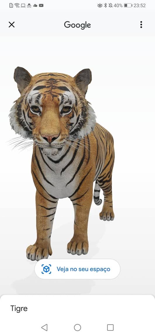 Tigre 3D no Google