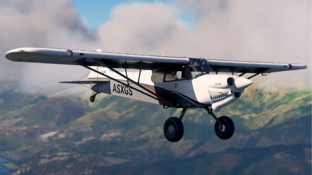 flight. simulator
