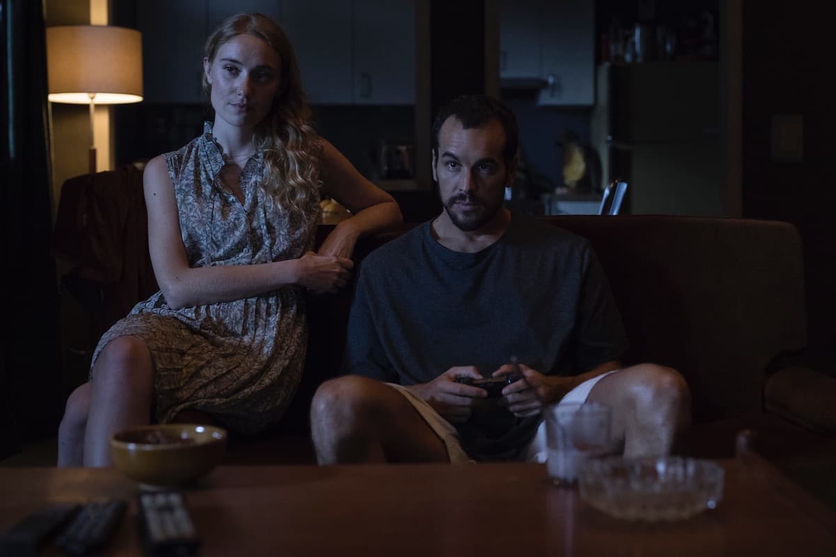 substituto plataforma