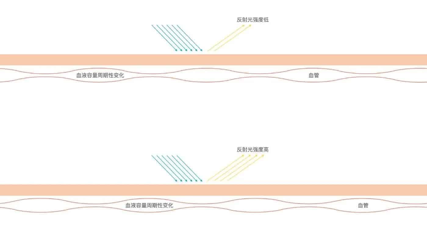 Xiaomi Mi 11 smartwatches