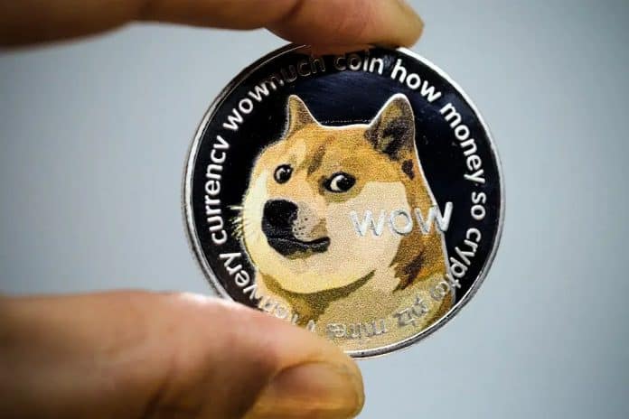 doge, dogecoin, meme