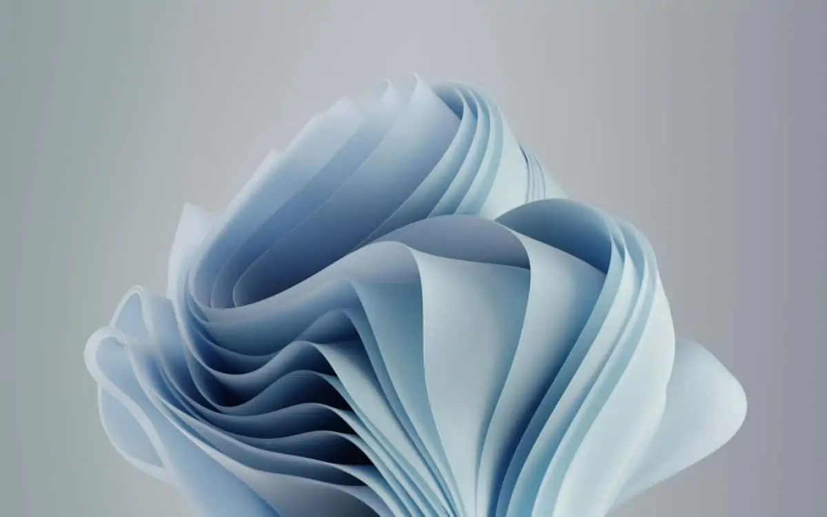 wallpapers Windows 11