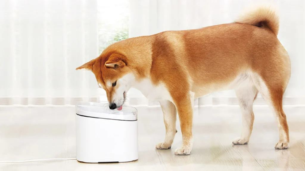 Xiaomi Pet Water Dispenser: Uma solução ‘smart’!