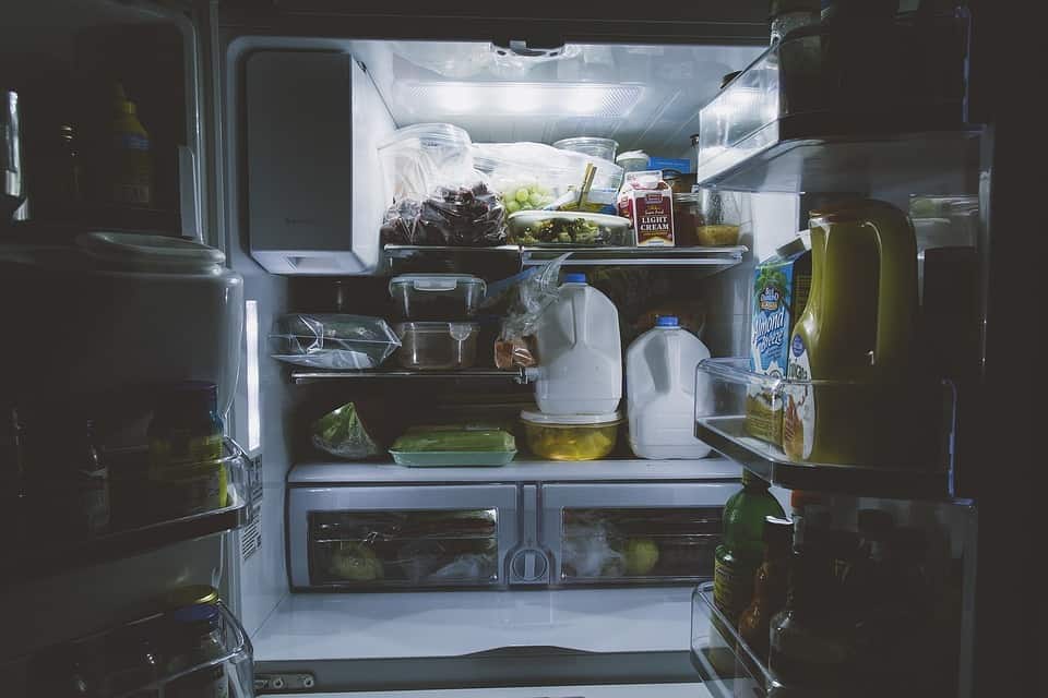 frigorífico vai avariar, nova vida ao frigorífico, colocar no frigorífico