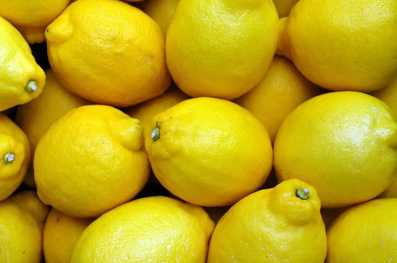 fruta à máquina de lavar