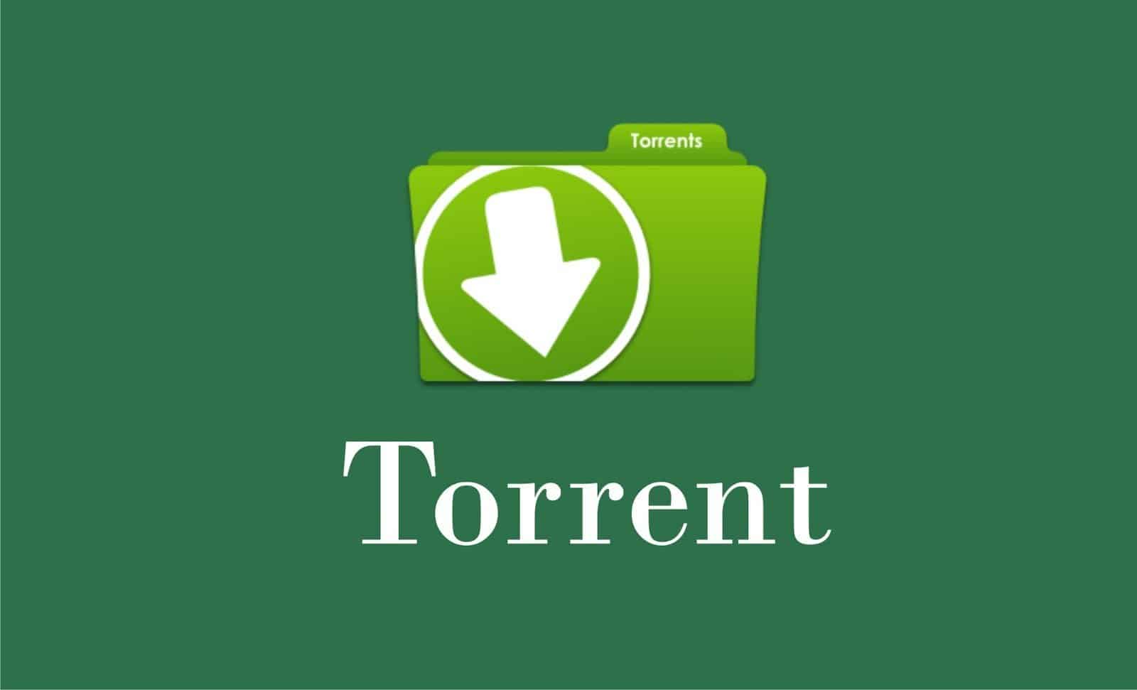Use Torrents à vontade mas “feche” a ligação!