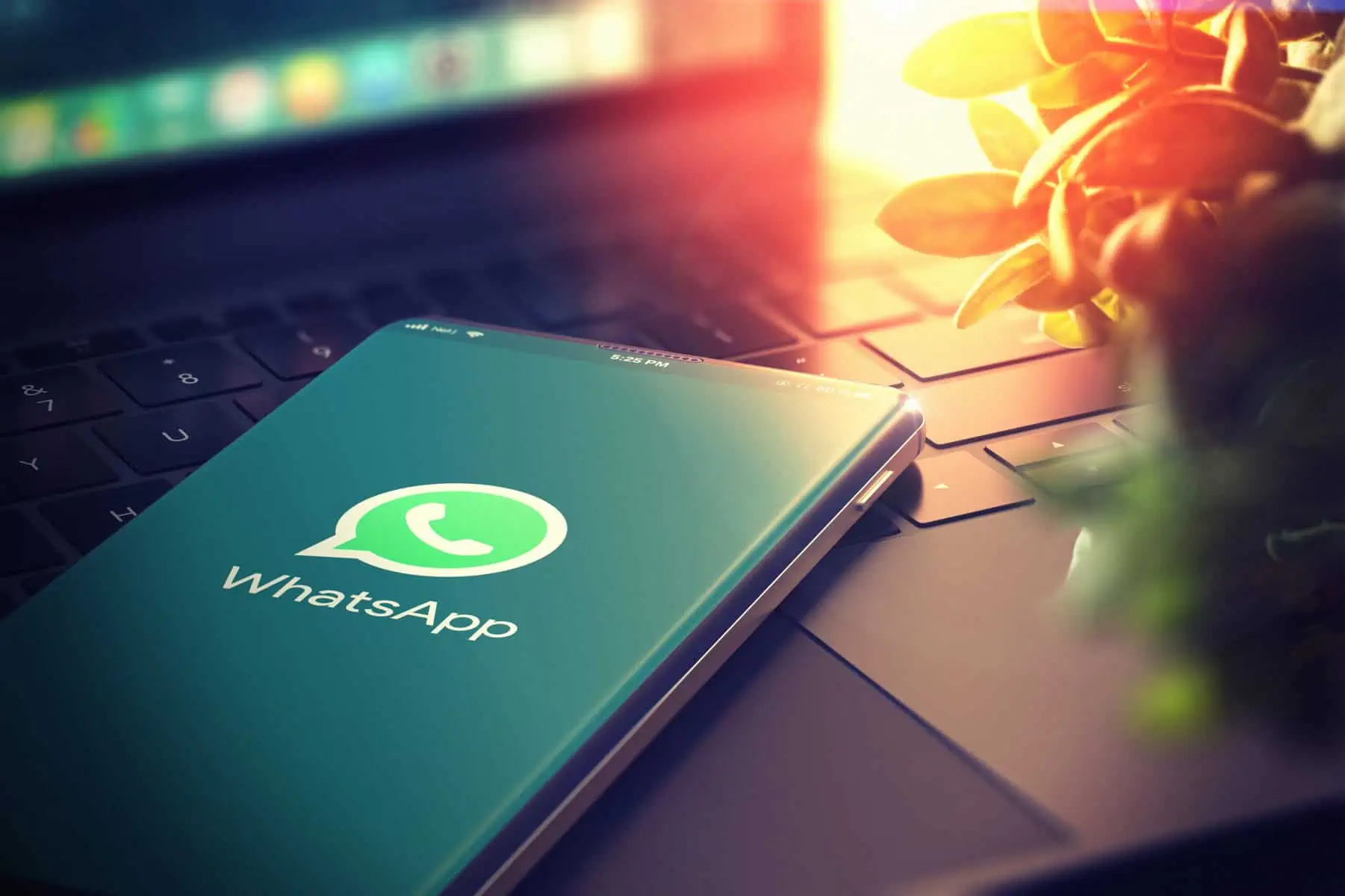 WhatsApp atualizações, WhatsApp partilhar ficheiros, não fazer no WhatsApp, mensagem falsa no WhatsApp, WhatsApp cópias de segurança grátis, WhatsApp atualizações de estado Web