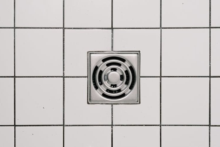 estes insetos entram pelos ralos da cozinha e casa de banho!