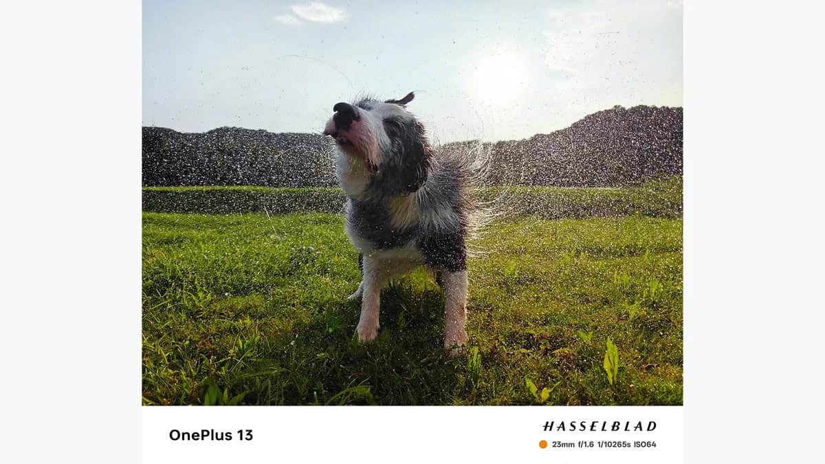 oneplus 13 está a chegar e promete muita performance!