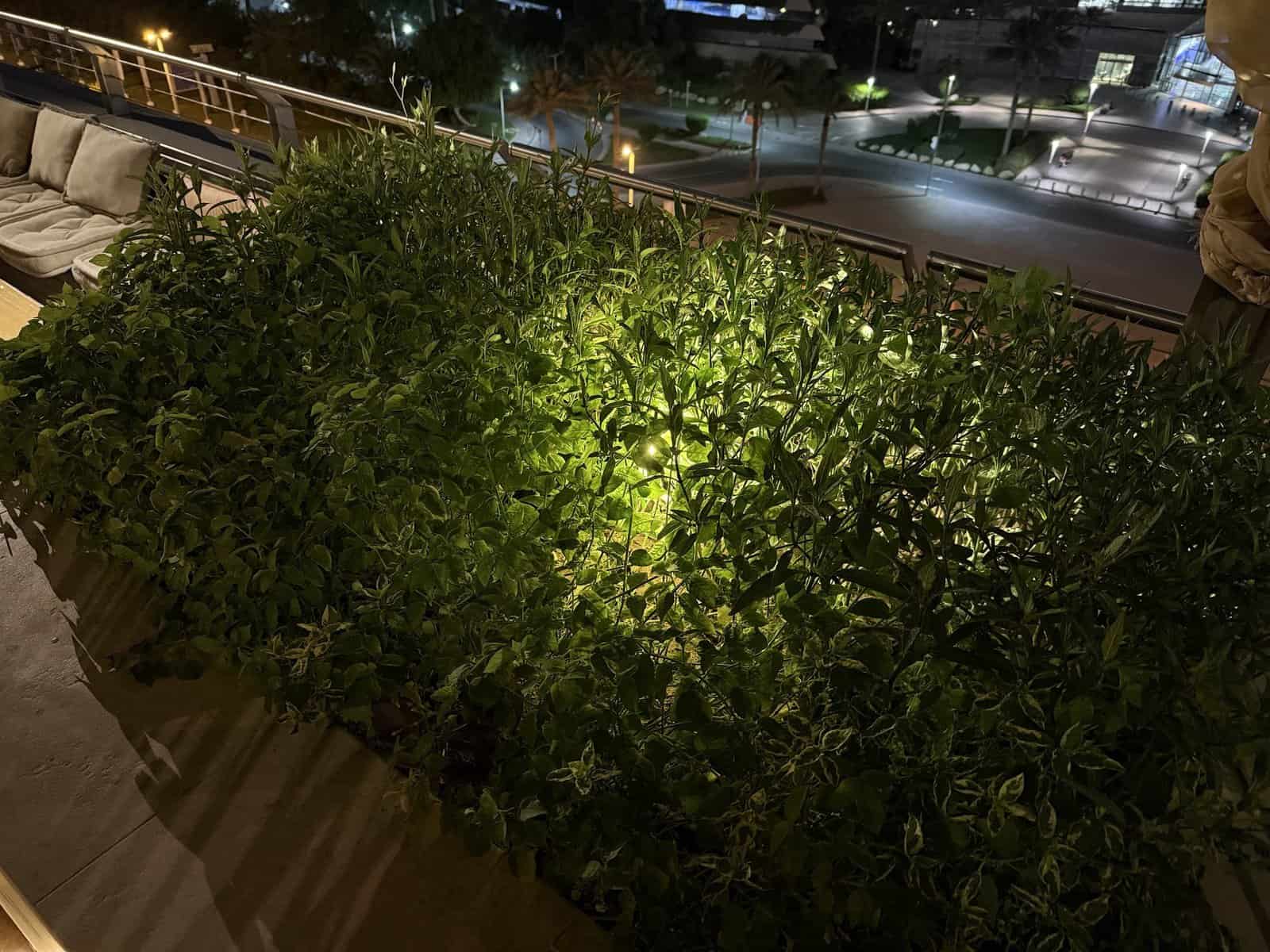 iphone 16 pro max vs pixel 9 pro xl: quem tira melhores fotos?