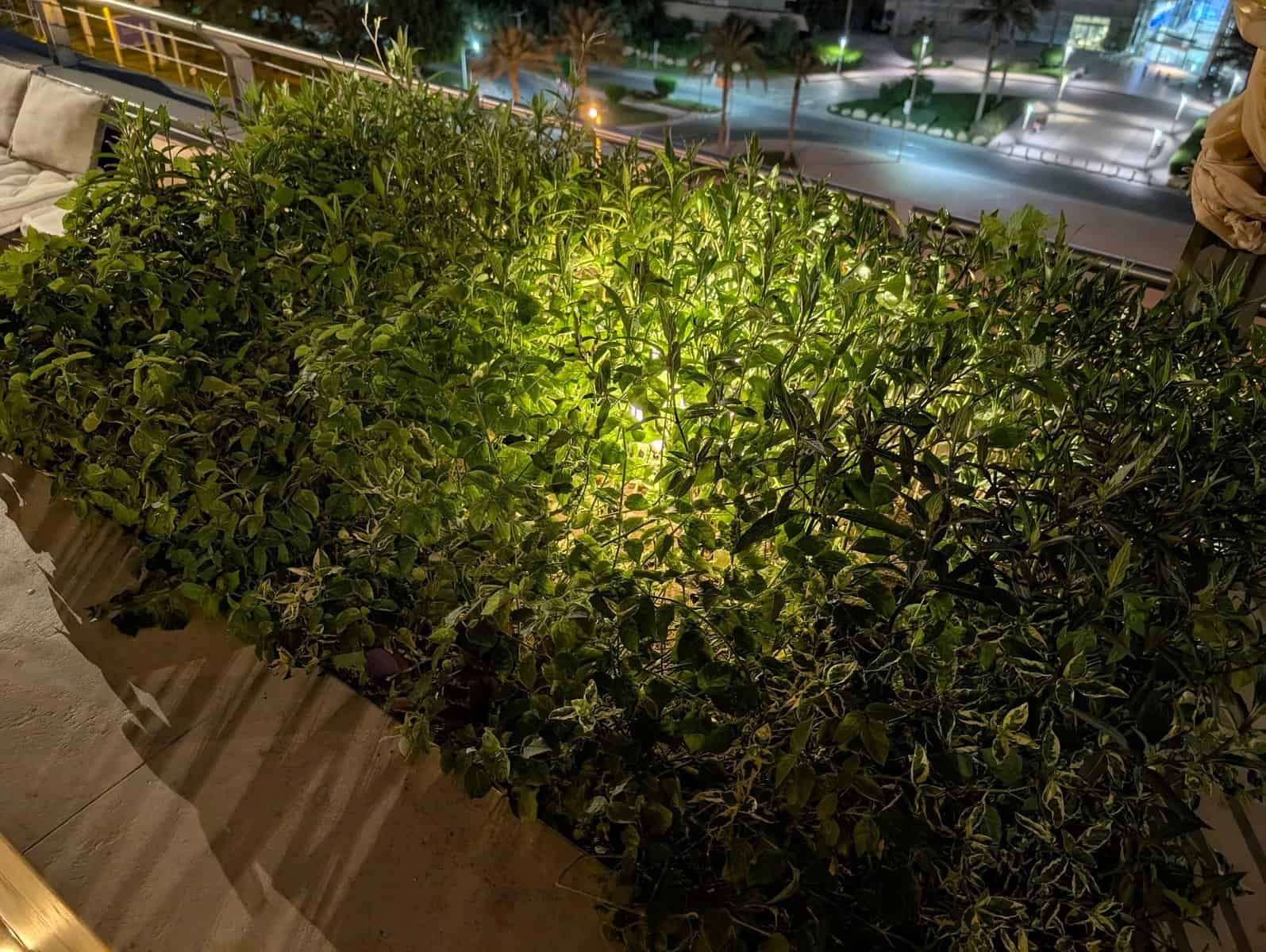 iphone 16 pro max vs pixel 9 pro xl: quem tira melhores fotos?