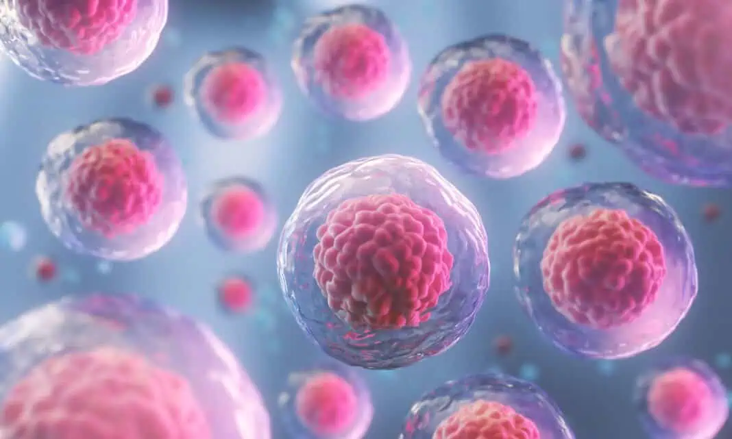 Células cancerígenas, as hipóteses de contrair cancro estão definidas antes de nascer!