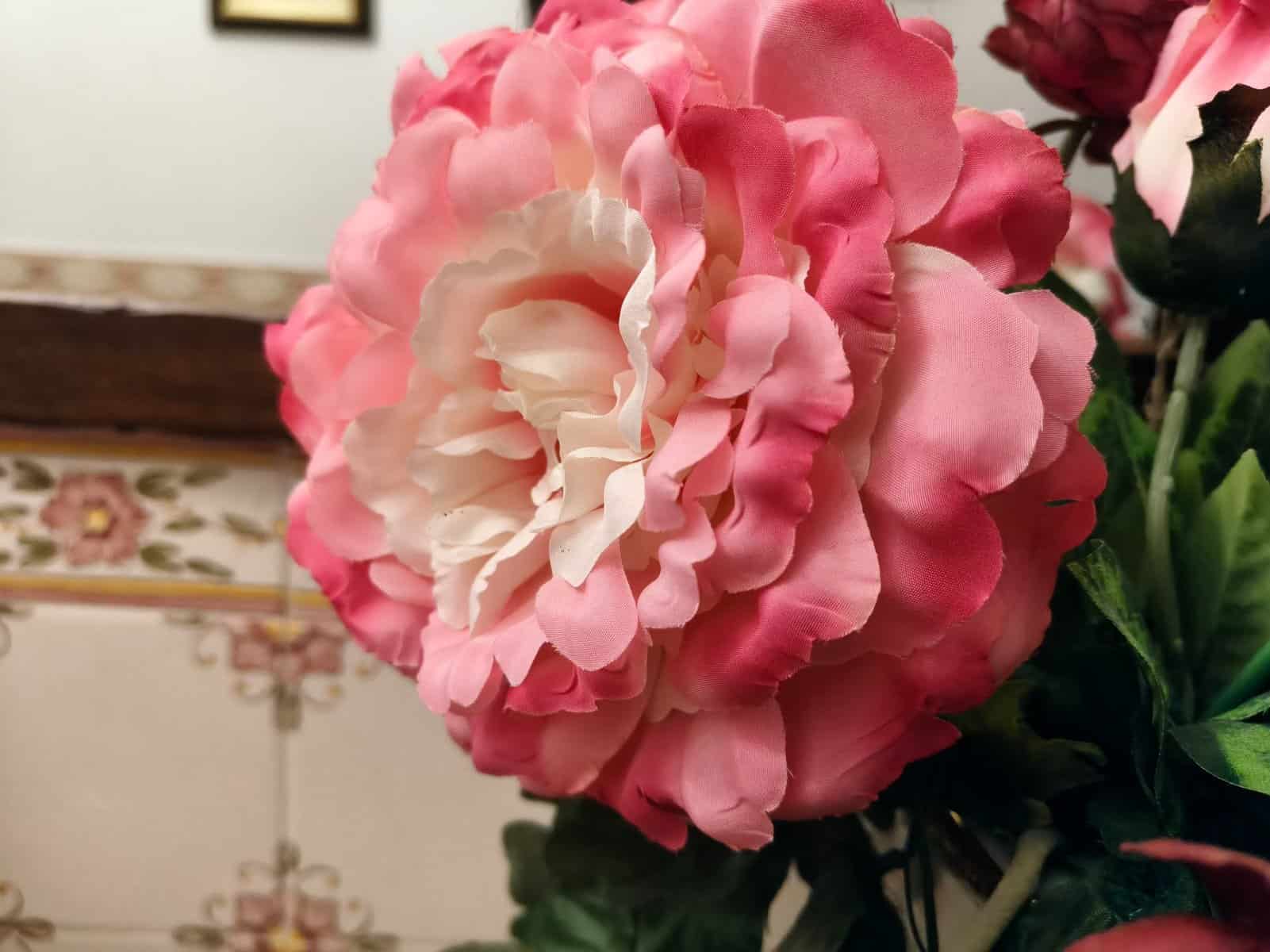 (análise) oppo reno 13 pro: É uma boa aposta? (análise) oppo reno 13 pro: É uma boa aposta?