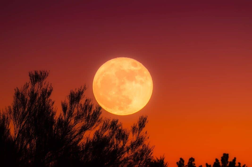 está a chegar mais uma lua de sangue e pode vê-la em portugal!