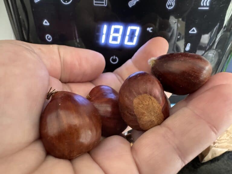 7 truques para as melhores castanhas no forno ou na airfryer
